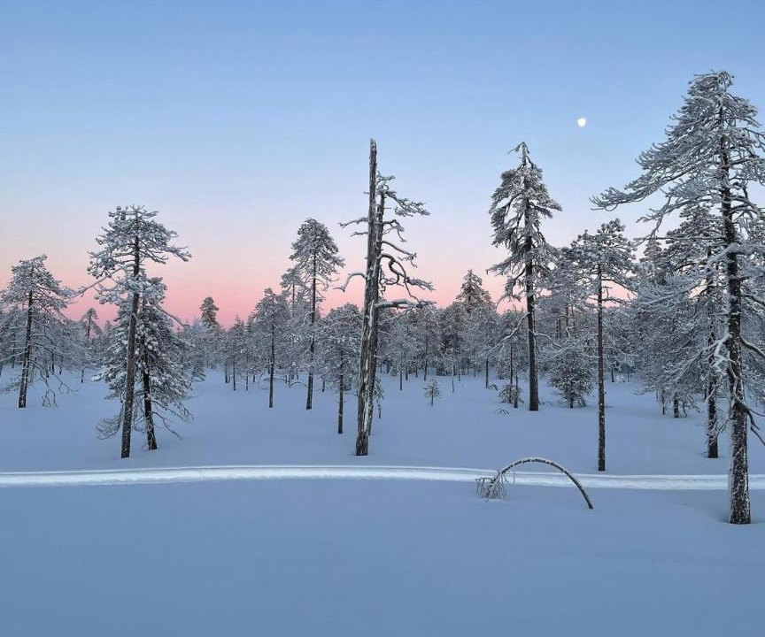 Photo of Others in Rovaniemi