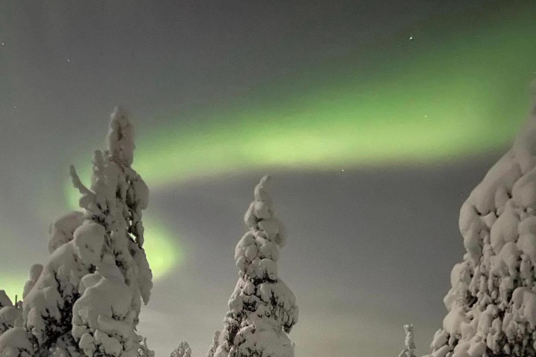 Photo of Others in Rovaniemi