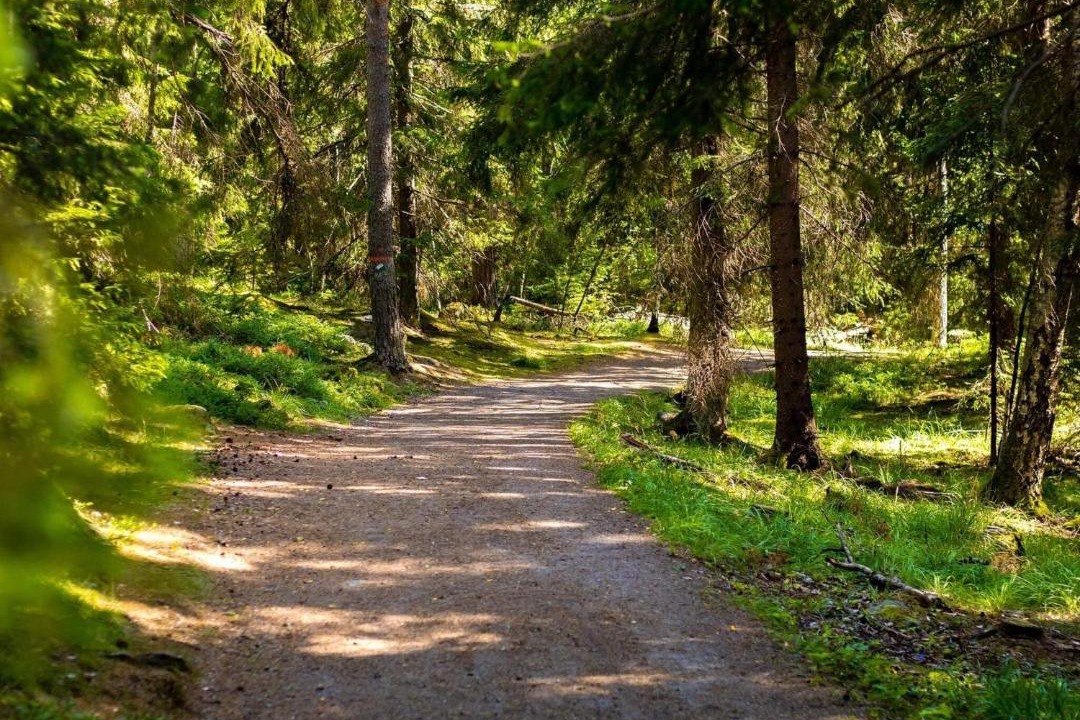 Photo of Outdoor in Olofstrom