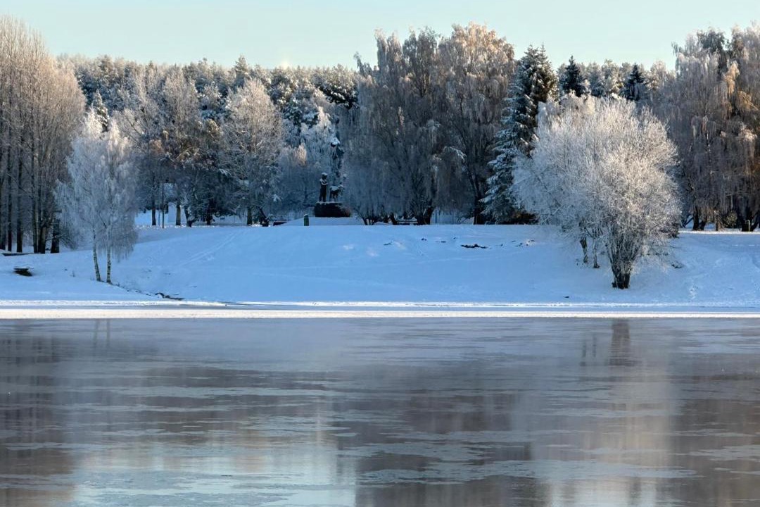 Photo of Others in Rovaniemi