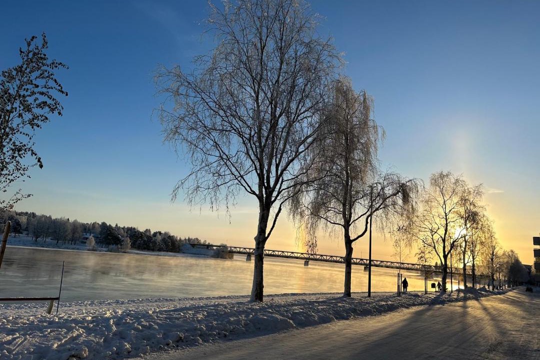 Photo of Others in Rovaniemi