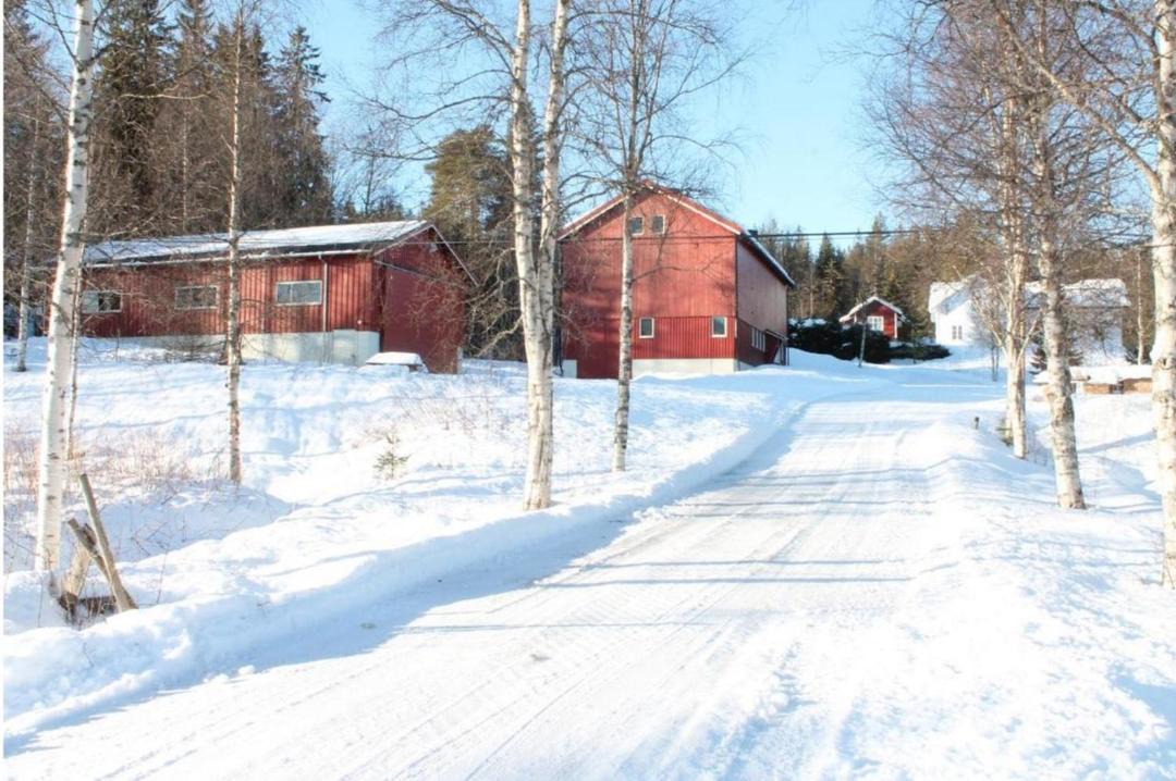 Photo of Others in Tørberget