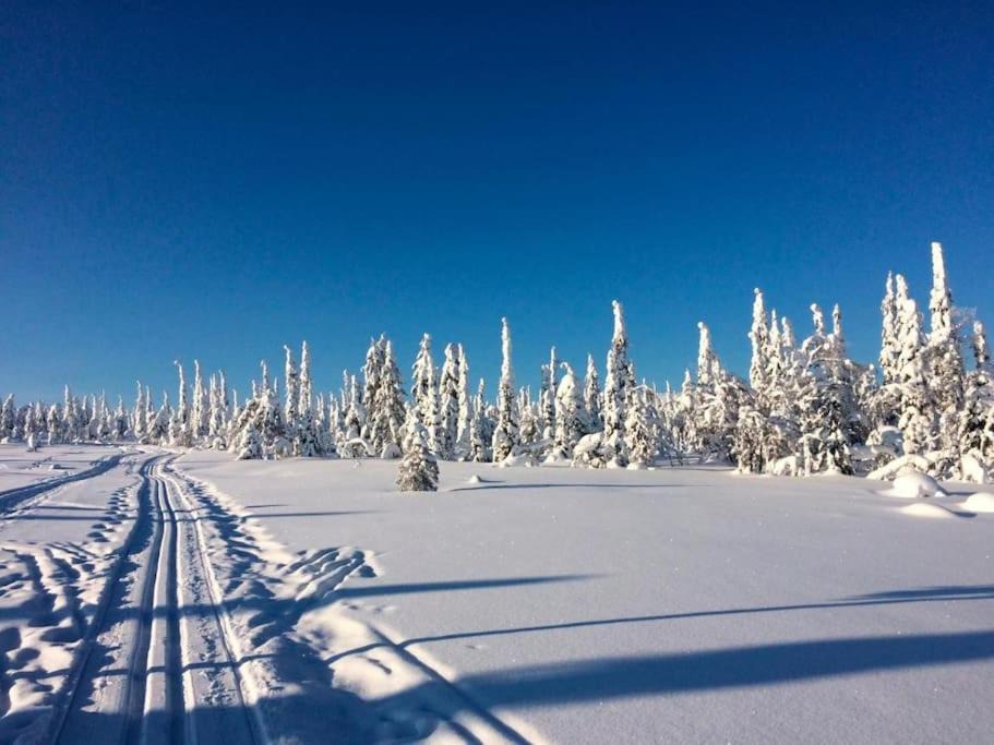 Photo of Others in Kuusamo