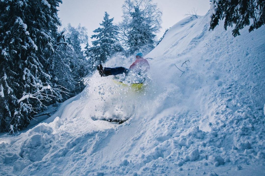 Photo of Others in Koli