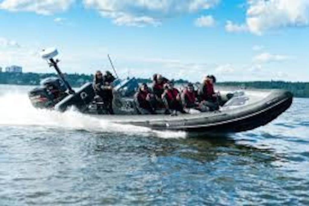 Photo of Others in Djurhamn