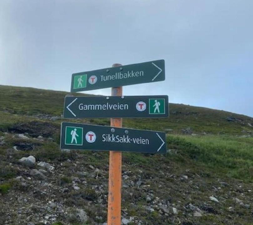 Photo of Others in Rypefjord