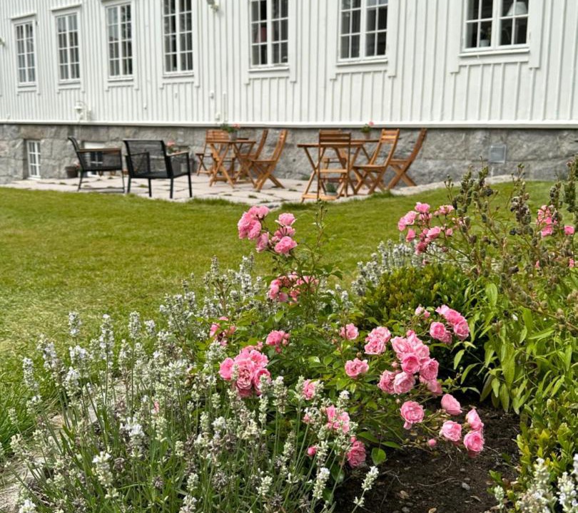 Photo of Buildings in Bukten