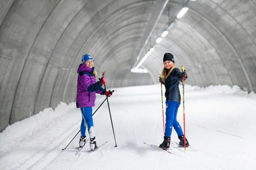 Photo of Human In Picture in Marbacken