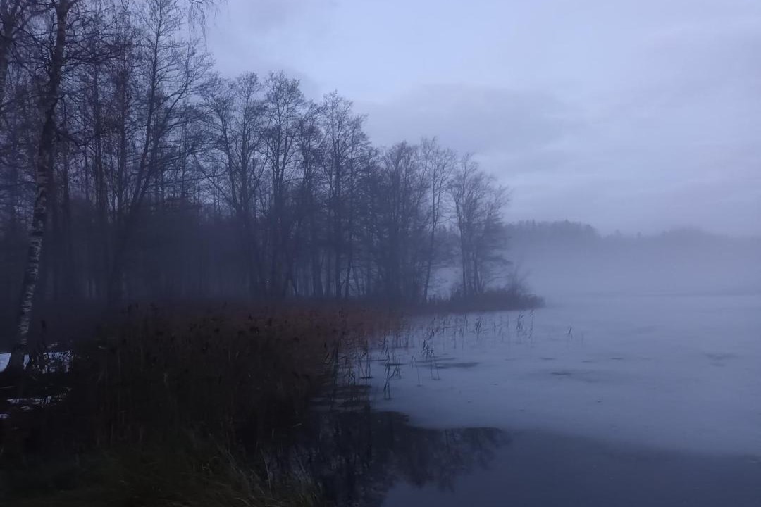 Photo of Others in Ylojarvi