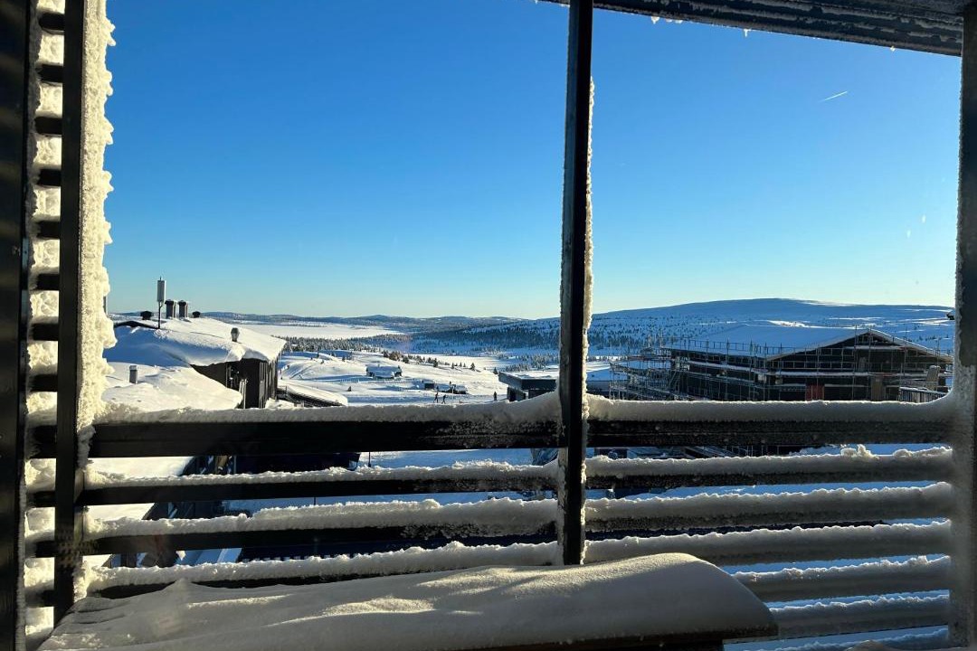 Photo of Others in yer