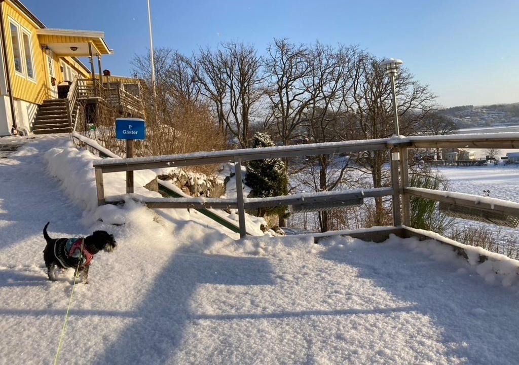 Photo of Others in Ljungskile