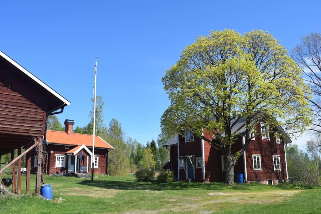 Photo of Others in Ludvika