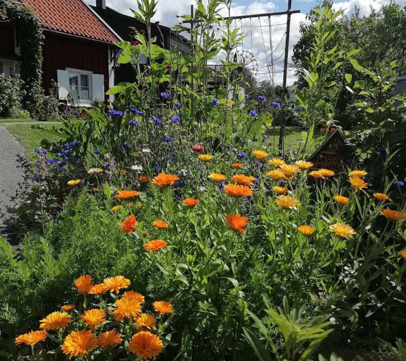 Photo of Outdoor in Orebro