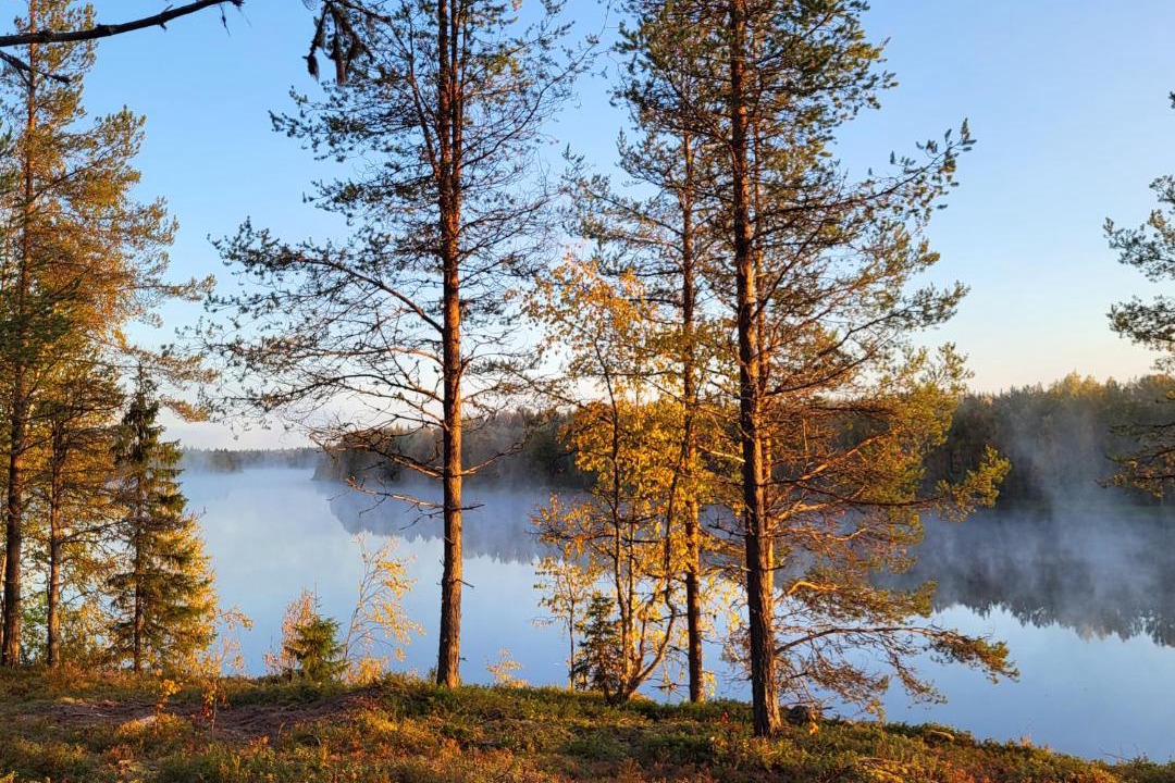 Photo of Others in Lampivaara