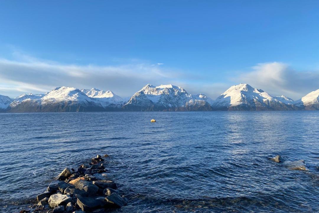 Photo of Others in Lyngen