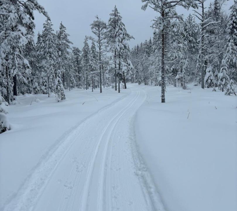 Photo of Others in Idkerberget