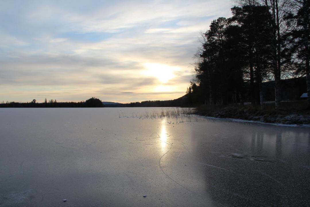 Photo of Outdoor in Overbyn