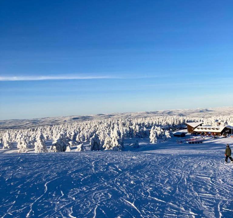 Photo of Outdoor in Overbyn
