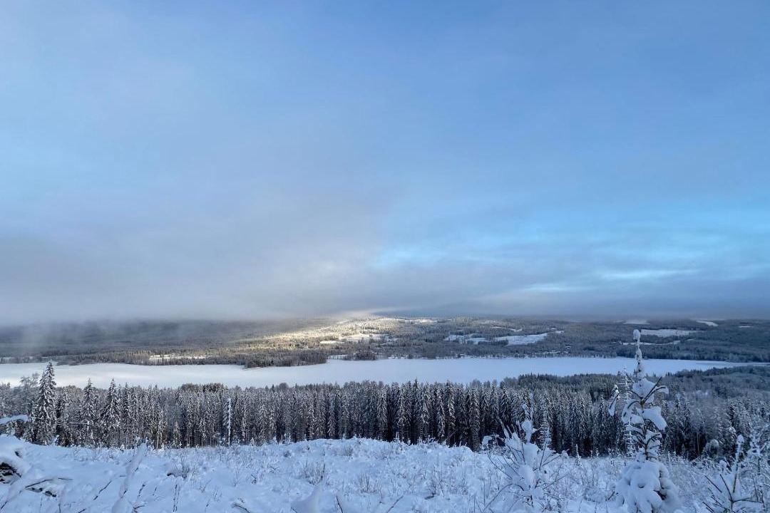 Photo of Outdoor in Overbyn