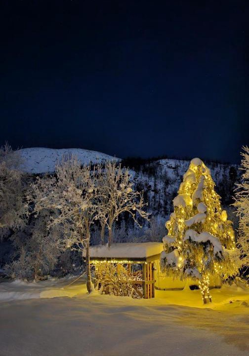 Photo of Others in Lenvik