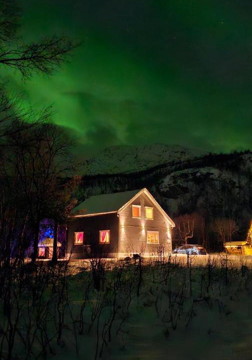 Photo of Others in Lenvik