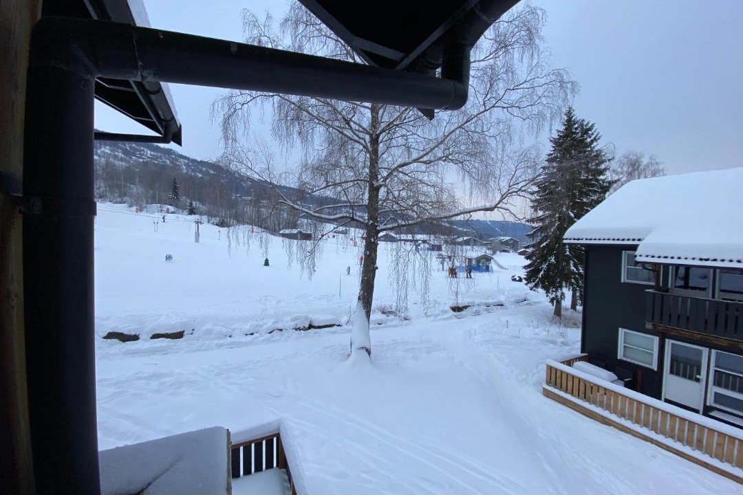 Photo of Others in Hafjell