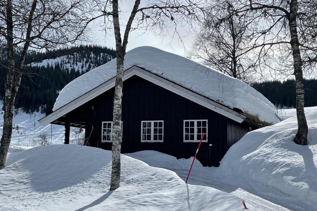 Photo of Others in Seljord