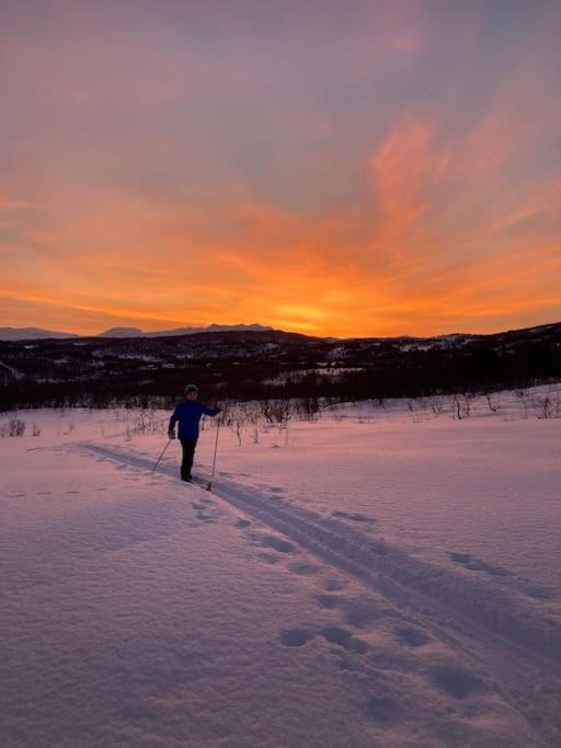 Photo of Others in Lenvik