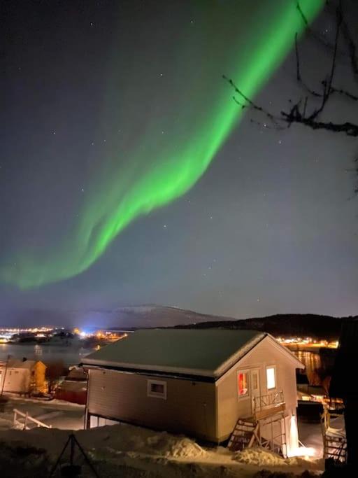Photo of Others in Lenvik