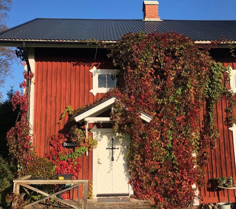 Photo of Others in Torsby
