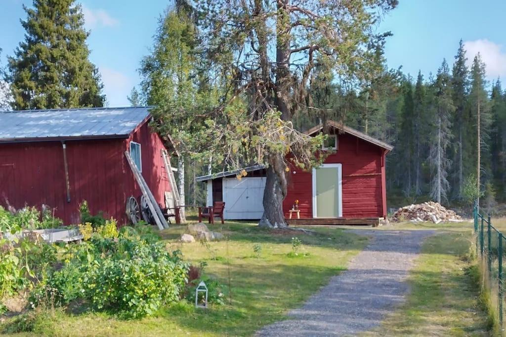 Photo of Others in Nattavaara