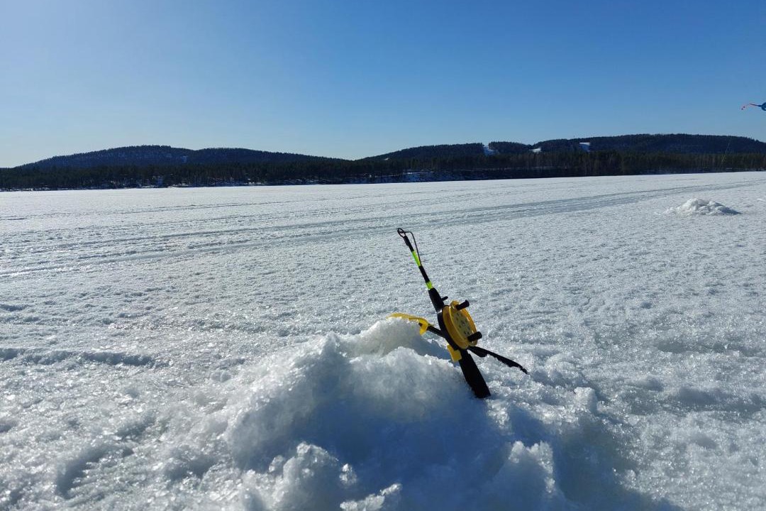 Photo of Others in Koli National Park