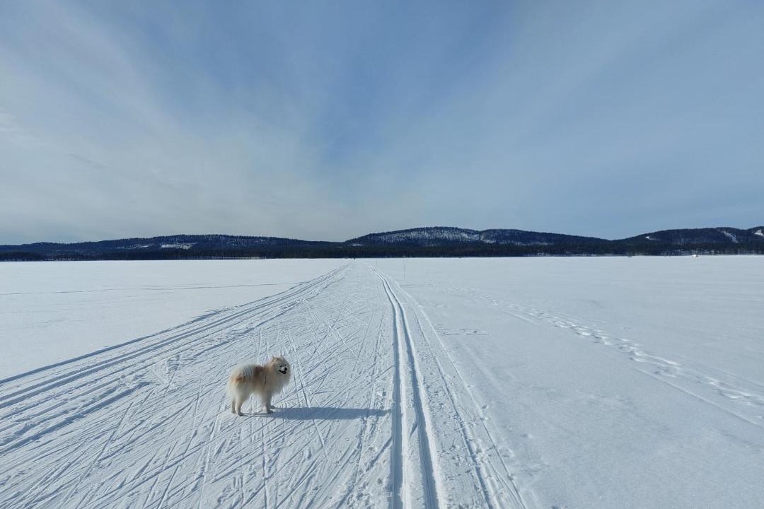 Photo of Others in Koli National Park