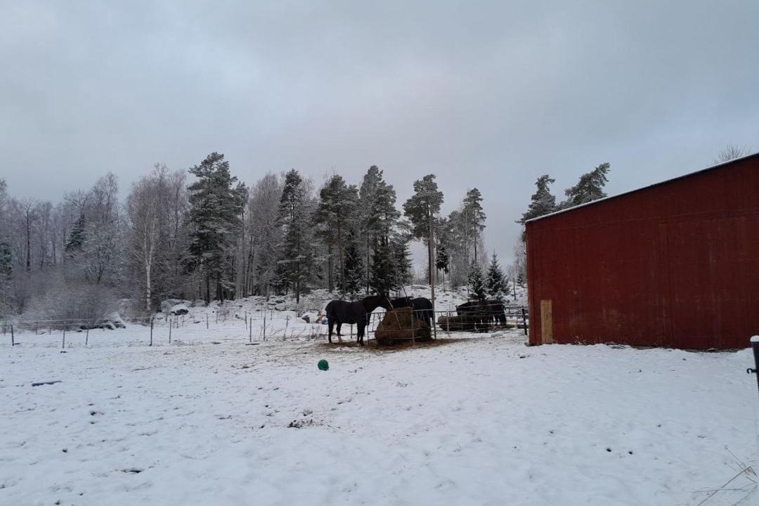 Photo of Others in Rimbo