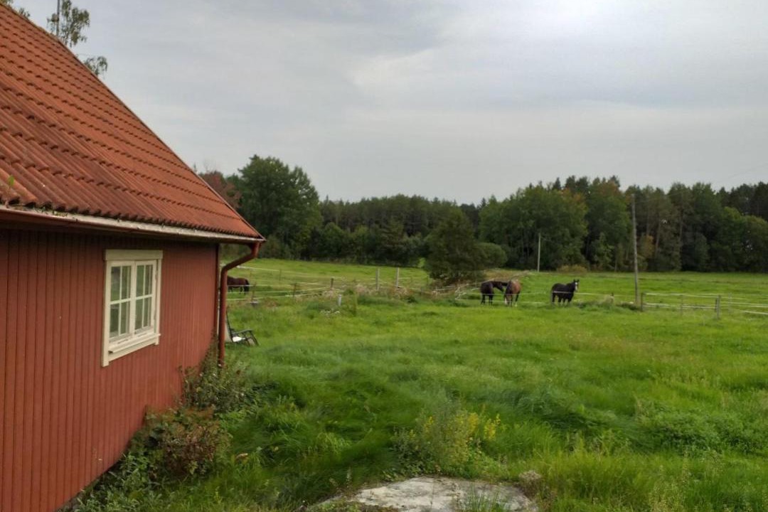 Photo of Buildings in Rimbo