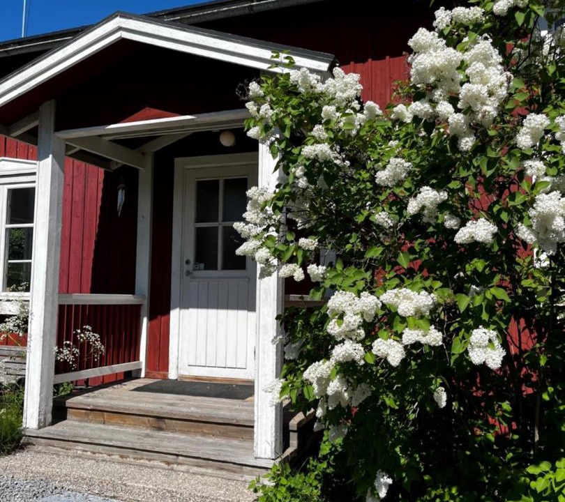 Photo of Buildings in Gammelstad