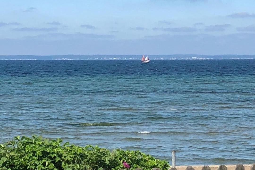 Photo of Others in Rydeback