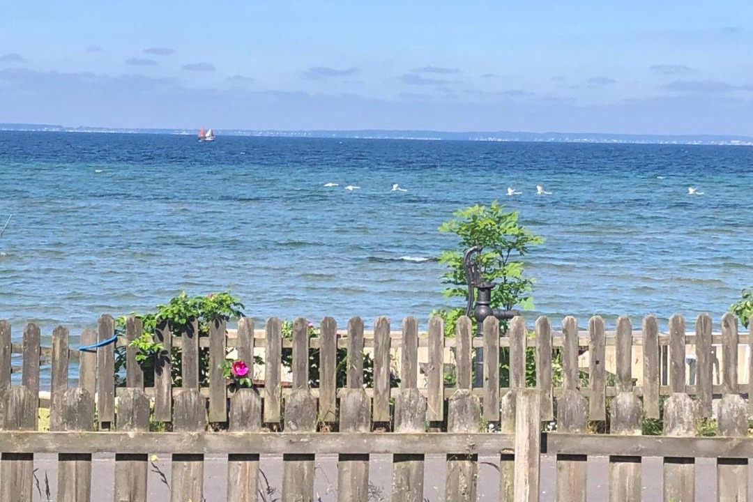 Photo of Others in Rydeback