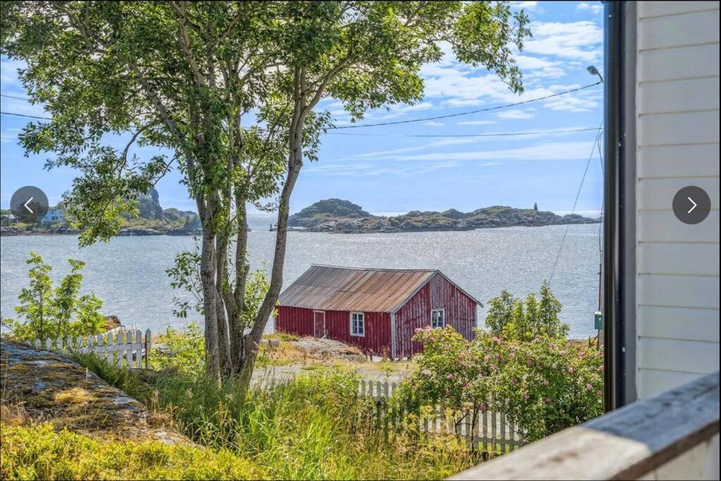 Photo of Others in Sund i Lofoten