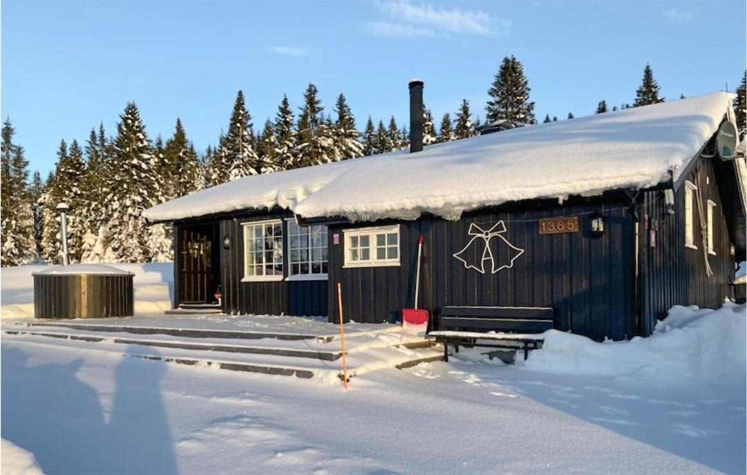 Photo of Others in Lillehammer