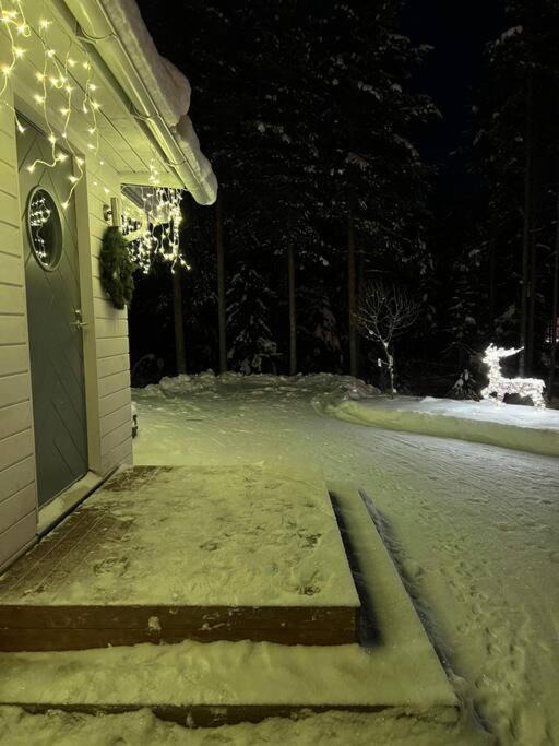 Photo of Others in Rovaniemi
