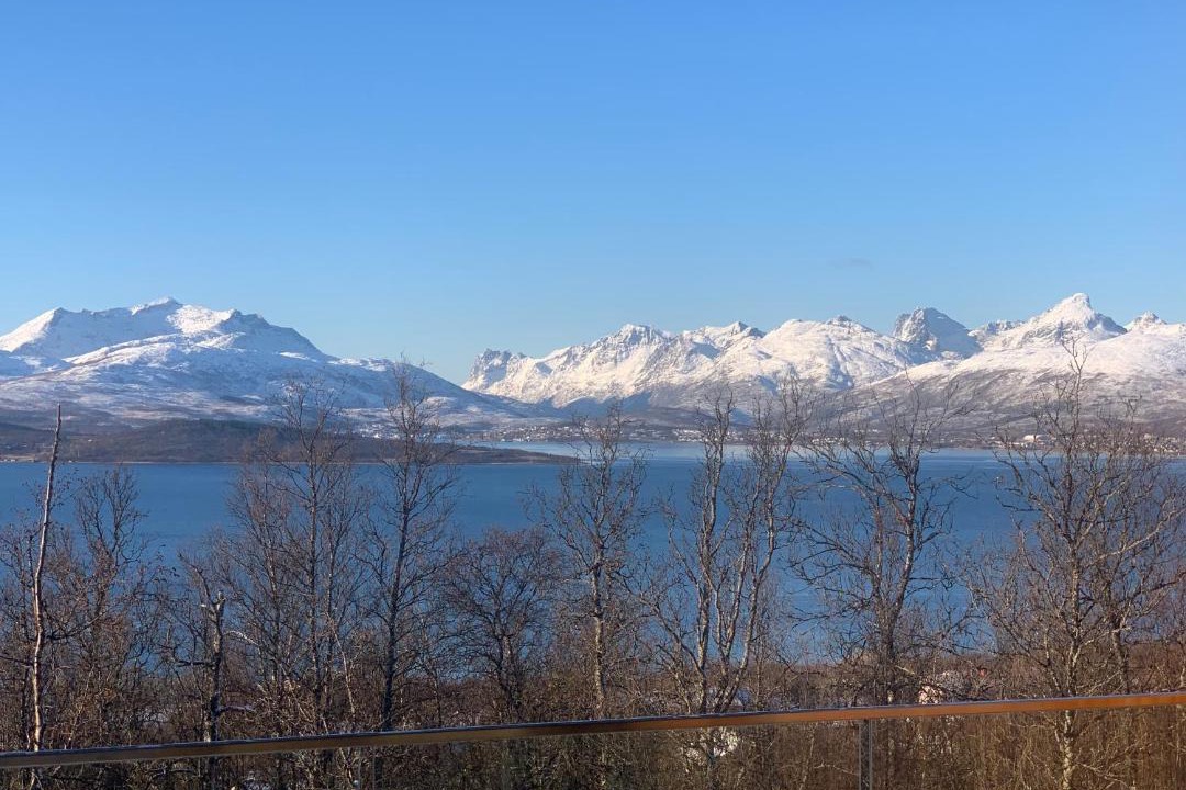 Photo of Others in Tromso