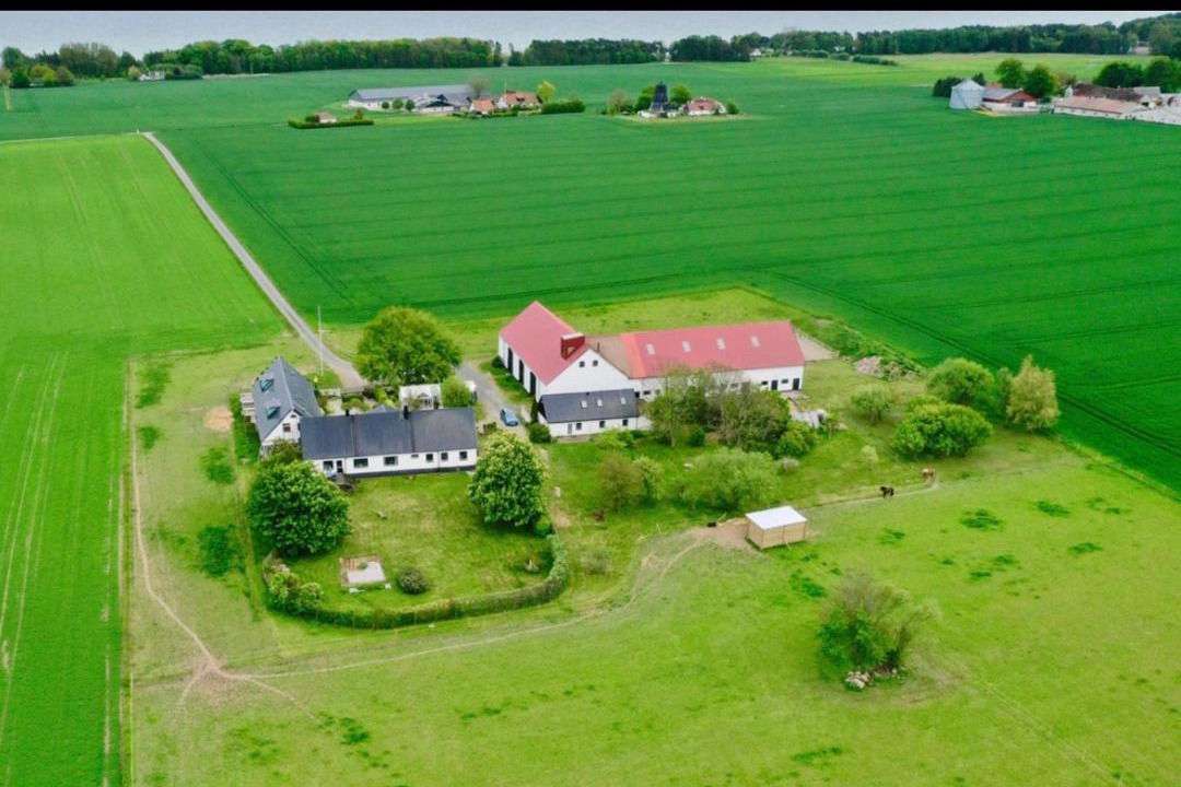 Photo of Others in Borrby