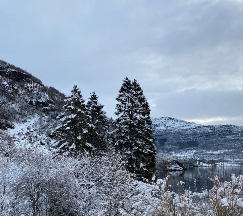 Photo of Others in Vindafjord