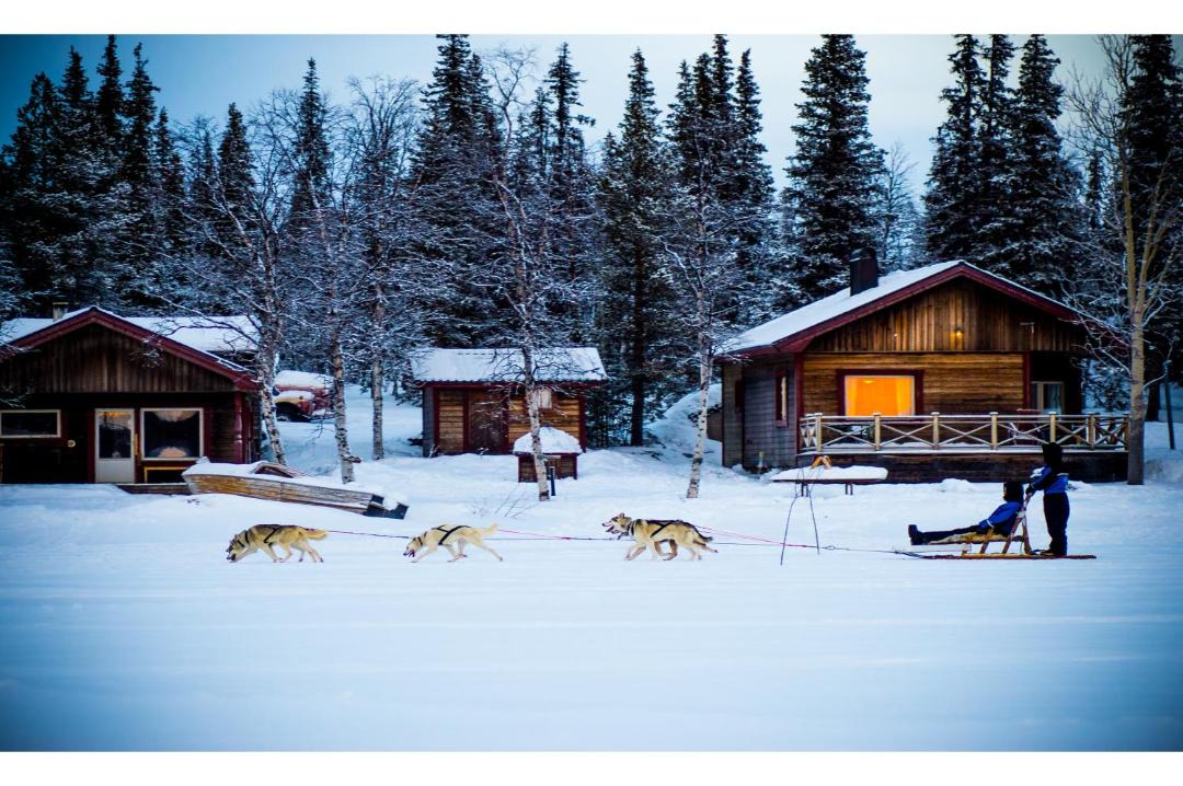 Photo of Others in Kiruna