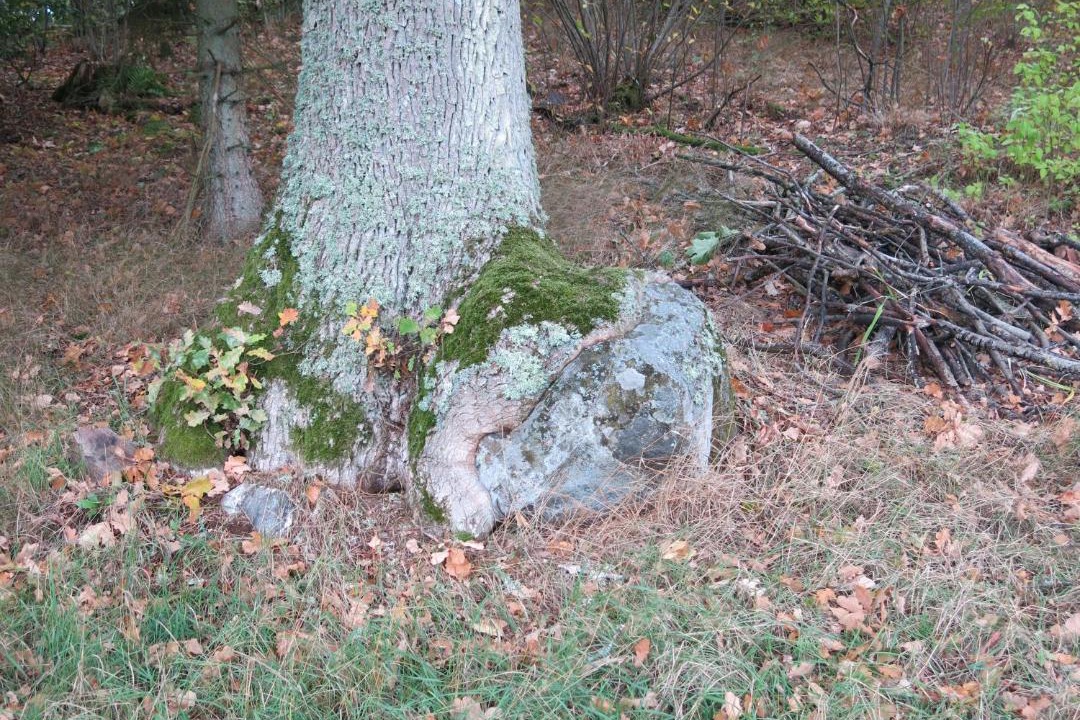 Photo of Others in Hoor Municipality