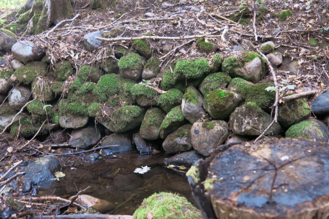 Photo of Others in Hoor Municipality