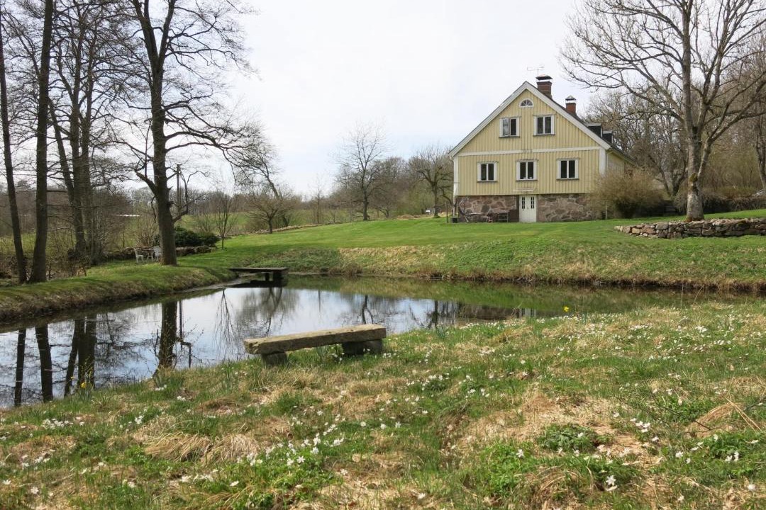 Photo of Others in Hoor Municipality