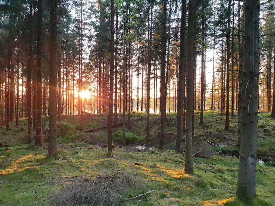 Photo of Others in Lidhult