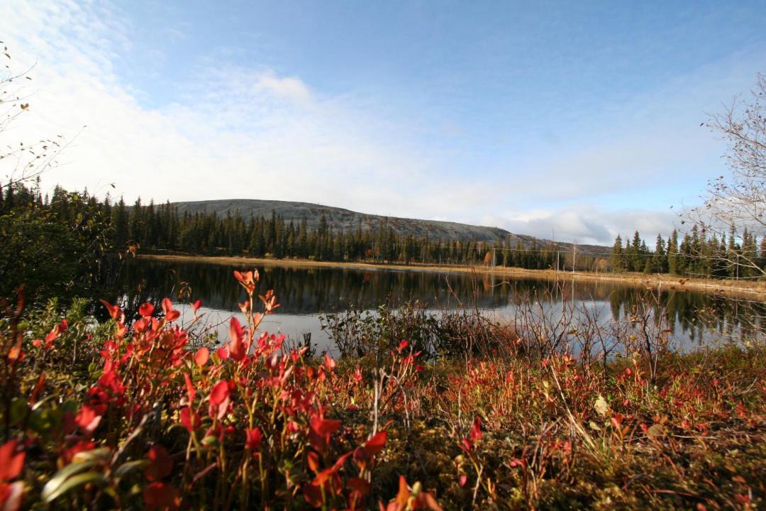 Photo of Others in Lampivaara
